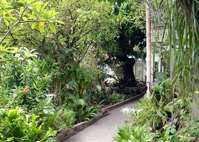 The Liguanea Club